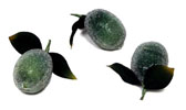 Crystal Limes